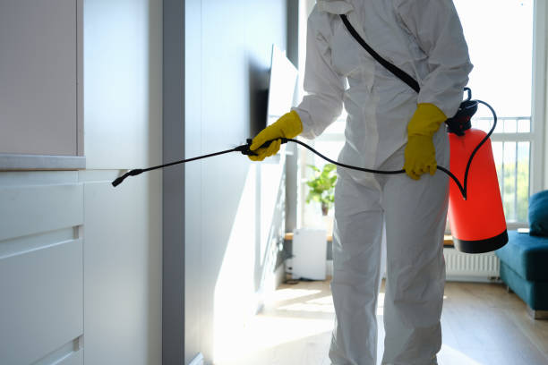 Best Office Mold Removal Services  in Summerde, AL