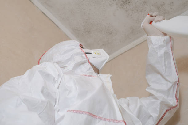 Crawl Space Mold Removal in Summerdale, AL